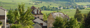 Burgundy region